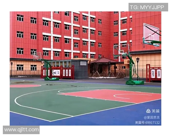 球场无障碍设施改造进展情况及未来规划分析报告